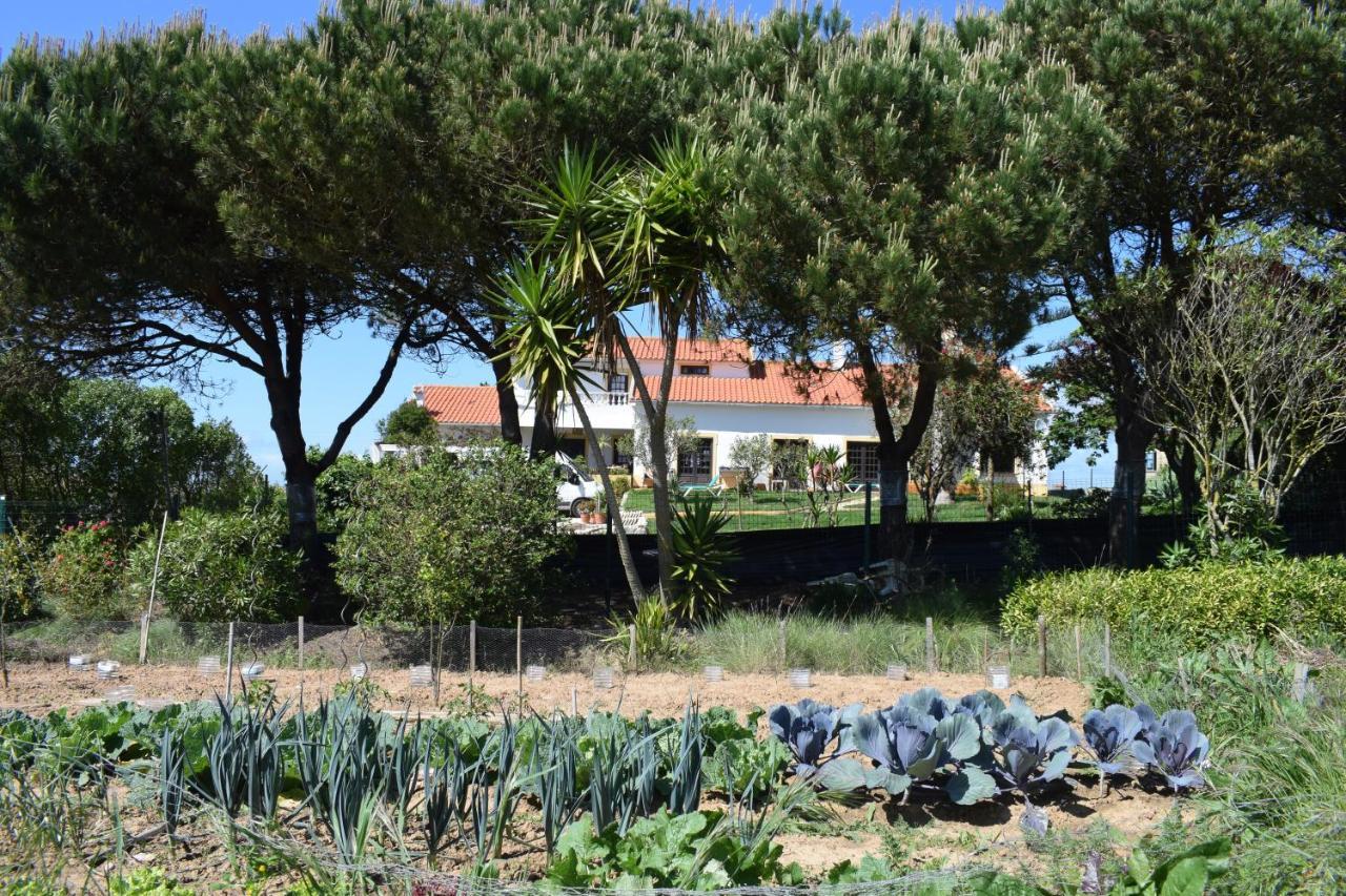 São Bernardino Casa Jardim Peniche B&B 외부 사진