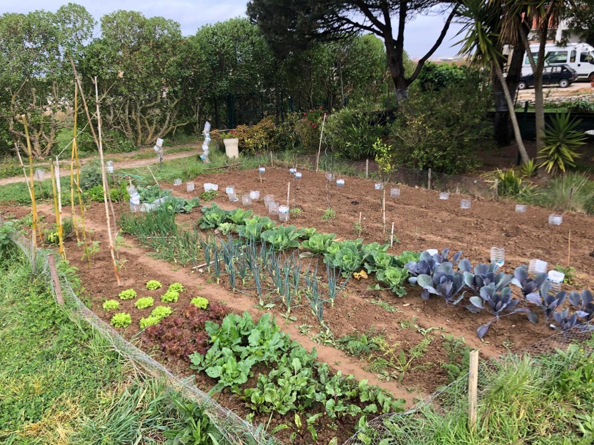 São Bernardino Casa Jardim Peniche B&B 외부 사진