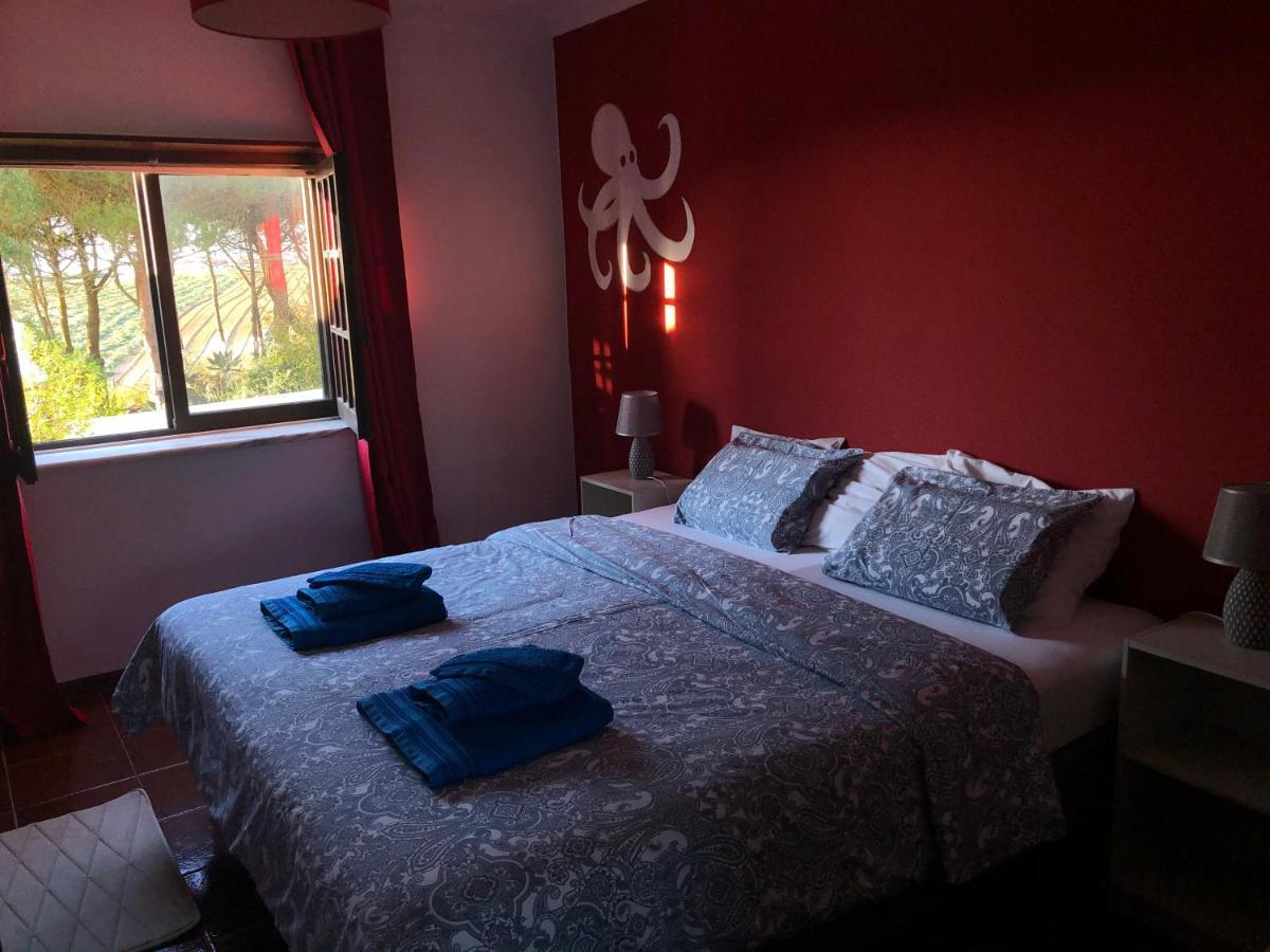 São Bernardino Casa Jardim Peniche B&B 외부 사진