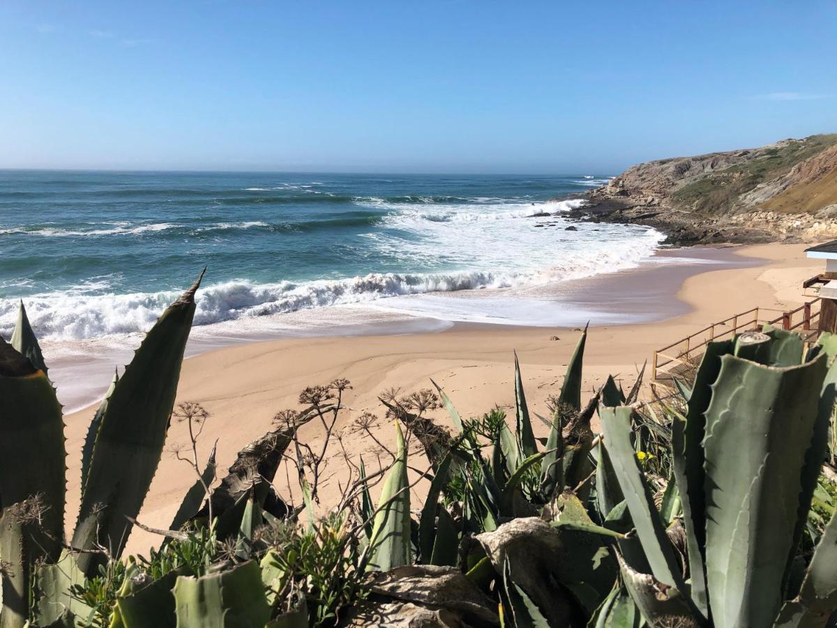 São Bernardino Casa Jardim Peniche B&B 외부 사진